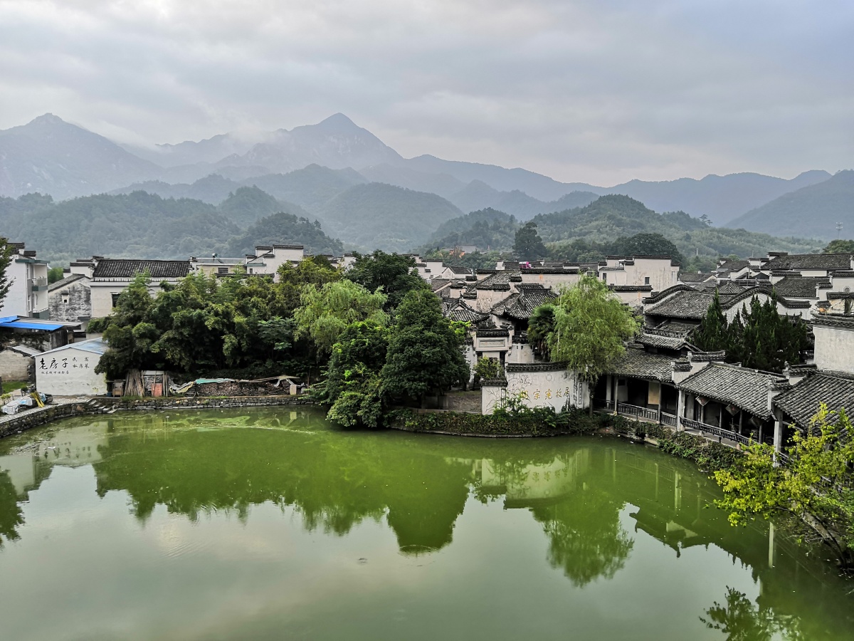 古玩交易市场的繁荣与革新
