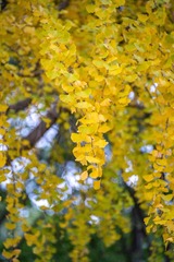 708DC71A-72DE-4652-A697-C71098EF0306/L0/001
