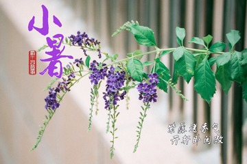 20F684E0-A4D5-44D2-8D1C-D29BAA178409/L0/001