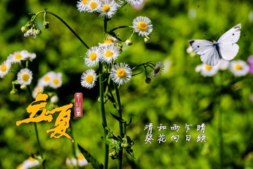 42F7B3A9-0E4B-4FDF-A2E2-7AD1076C364B/L0/001