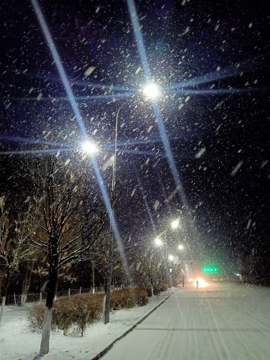 灯光下的雪就像星星一样闪耀