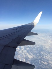 02F991BB-AAE7-498A-B0F4-A36BE48F821D/L0/001
