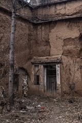3155875