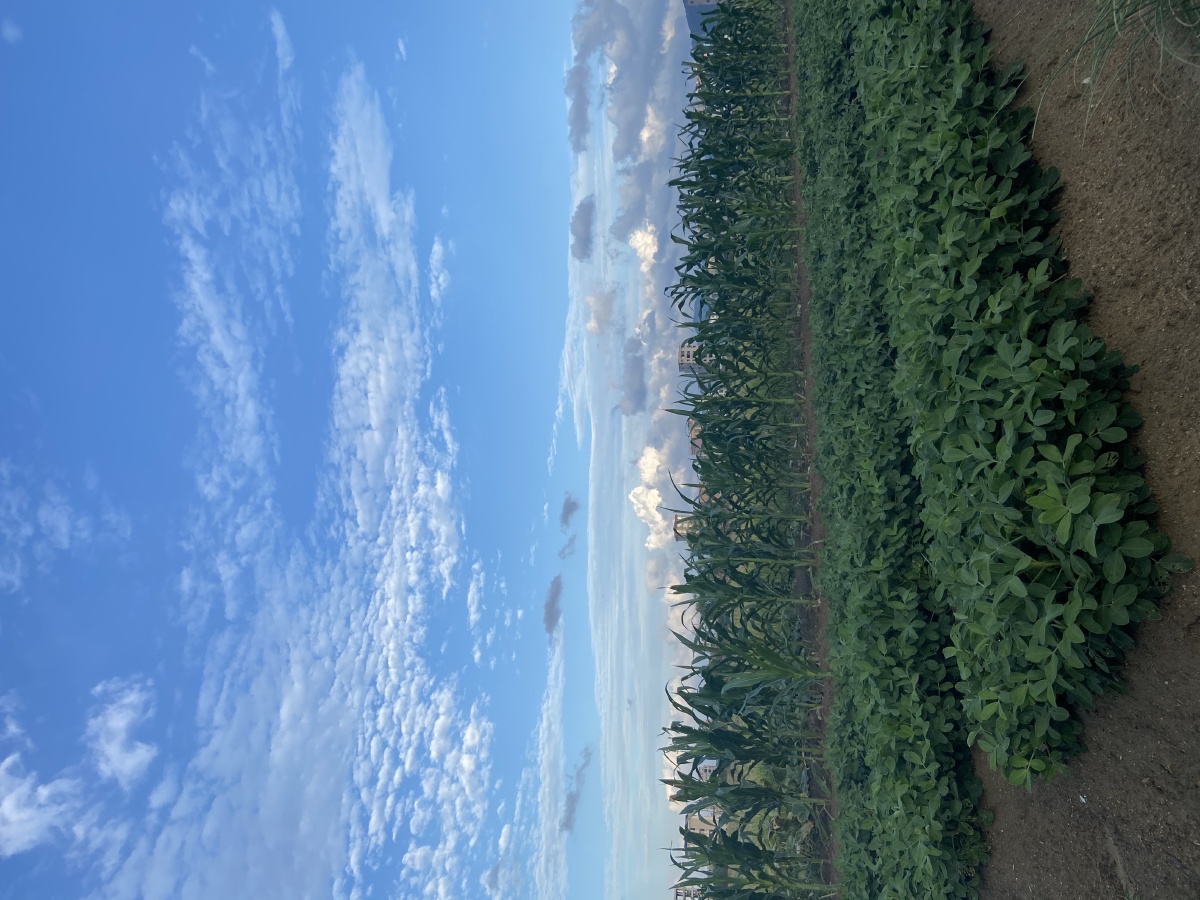 晴空万里神清气爽