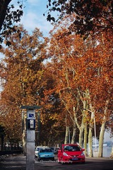 东湖 环湖路.jpg