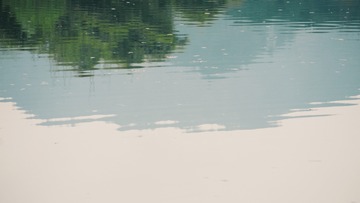 2490134
