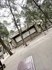 E6FE88A0-DF59-4B50-BD4F-7300B63DF38B/L0/001