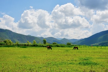 AD75B1FD-30F0-486F-919F-FA5B356BF6F0/L0/001