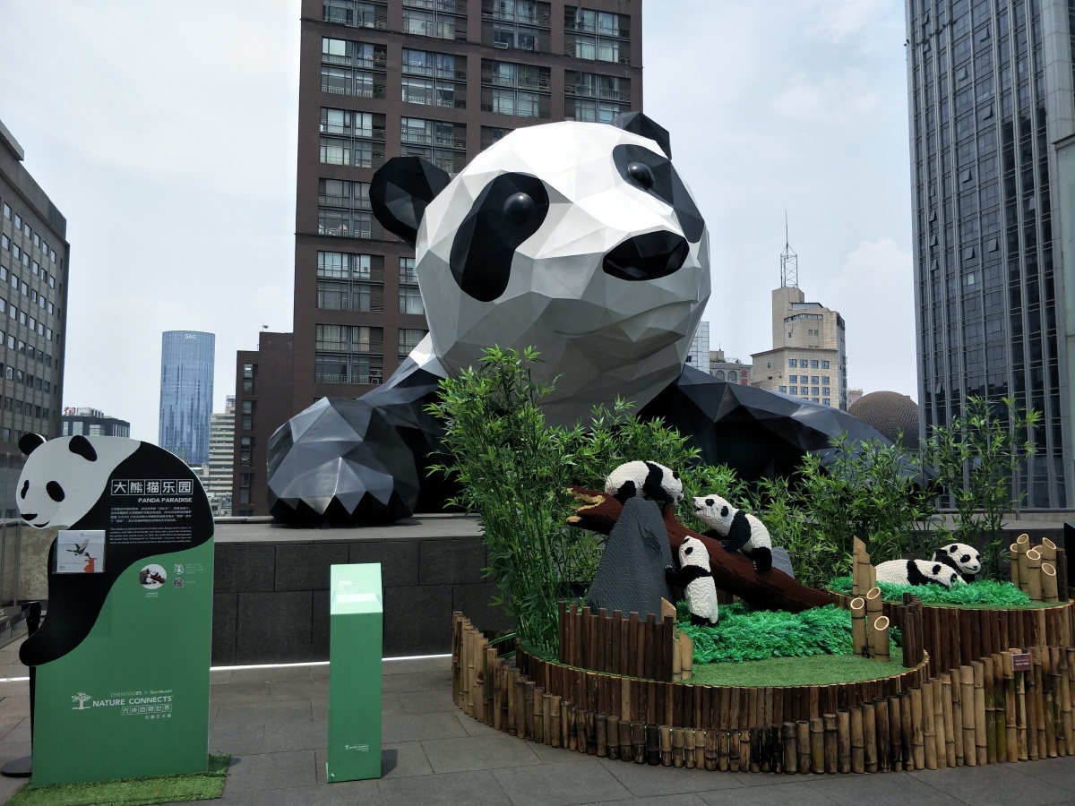 成都网红地标打卡