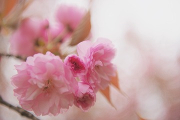 BCDBF660-B5B2-4F69-8451-C751A70DBCA9/L0/001