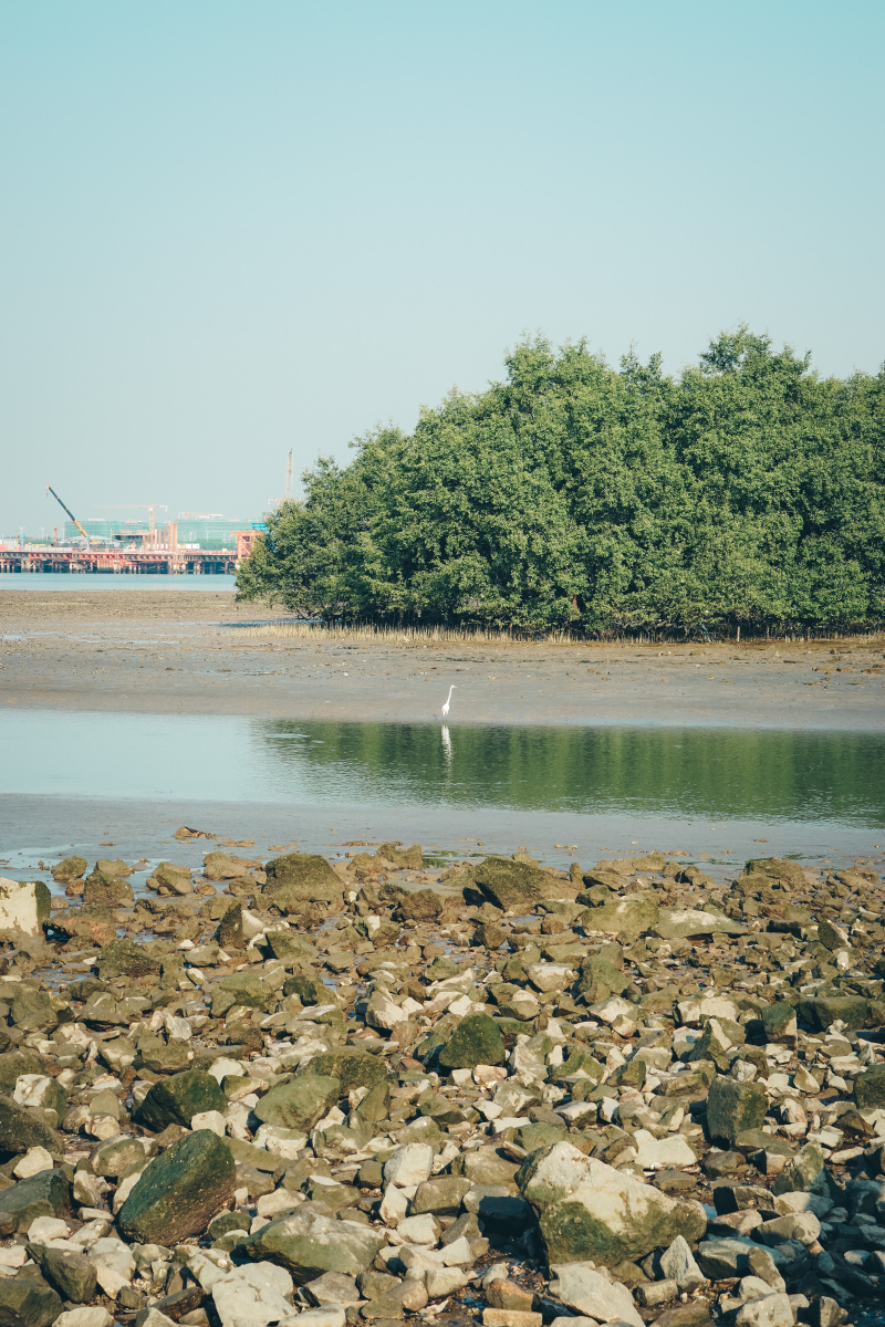 深圳市西湾红树湾公园