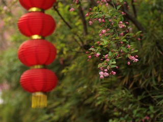 15F379EA-DC84-44B1-BE0C-48A145532BC4/L0/001