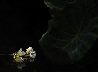 CA5CE0C7-DAA4-4F58-A6BC-D4C5E11507EA/L0/001