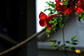 B252A976-451E-4877-B6D0-464A719D3C5E/L0/001
