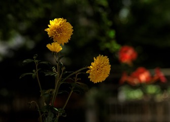 A671D998-A413-45BC-8DA8-FE7E58E8F42E/L0/001
