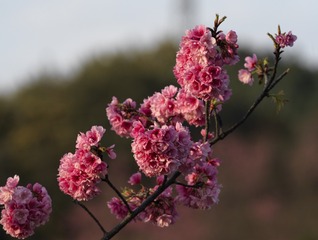 F983C042-931F-465E-BD8B-8EB9491A4666/L0/001
