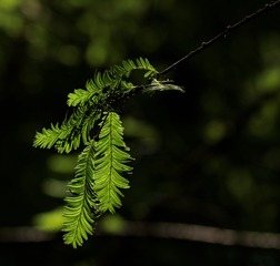 34E2CE98-8460-4FB8-BA0E-F9F5150AB03C/L0/001
