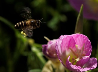 B620FB15-5305-4B54-A80A-93E336877BEE/L0/001