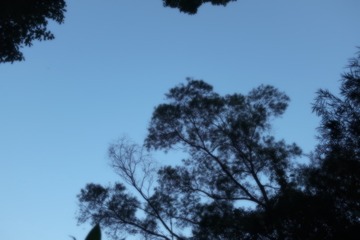 4A4F4C19-05D8-49F1-B178-3B41B672B8EE/L0/001
