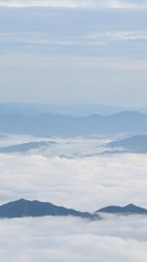 A966267E-BB0B-4AB5-AE87-0BF7688222C3/L0/001