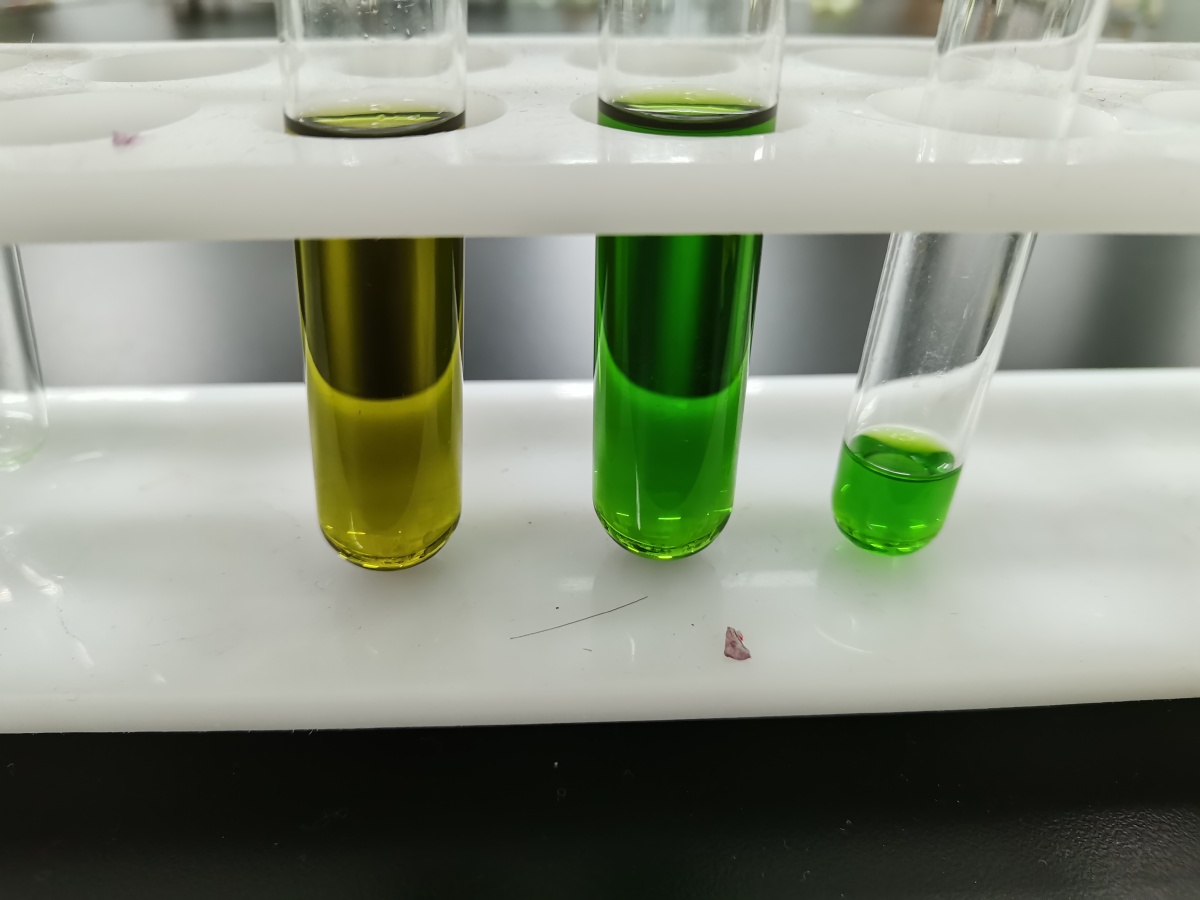 叶绿素实验是我喜欢的绿 - pannana - 图虫