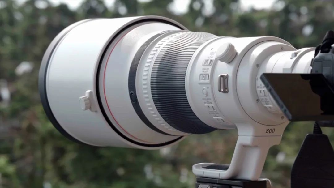 佳能rf800mmf56接近6位数的大炮实力如何