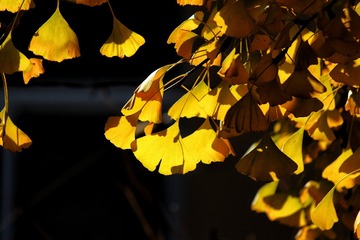 140201