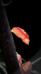 140230