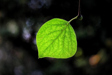 66797