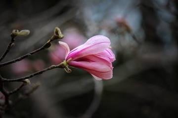 170250