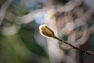 250216