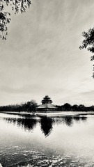 9428D9DA-EB54-45B5-87EA-F867B0A262E4/L0/001