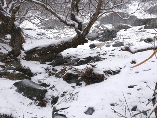 1370272