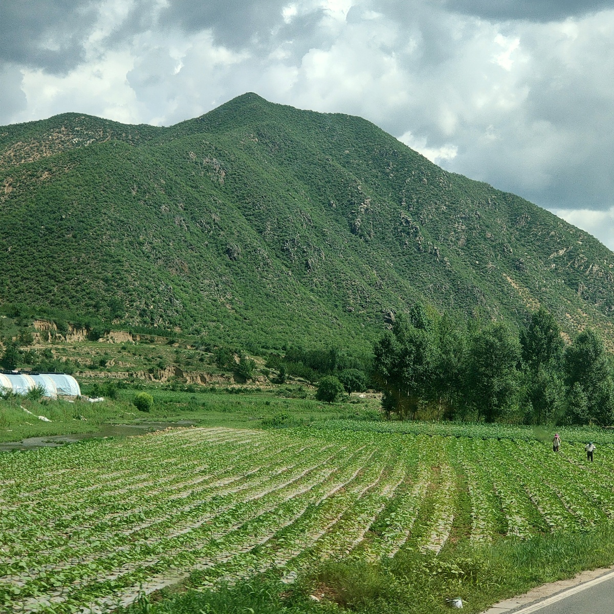 大山里的庄稼地