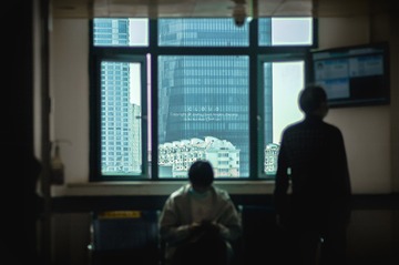 3176305
