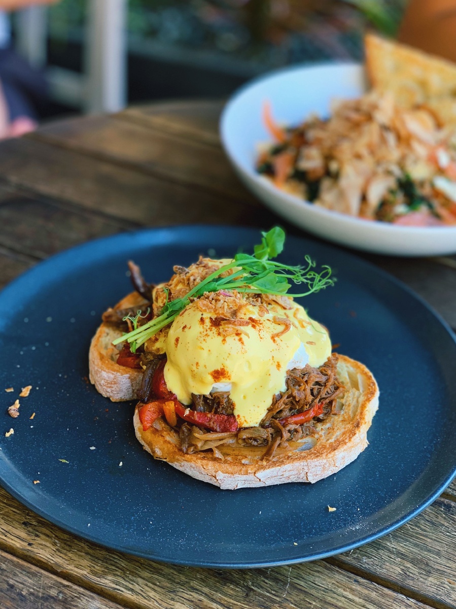 brunch / benedict egg / 班尼迪克蛋 - 布洛小分分 - 图虫