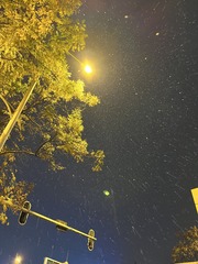 895E9F56-2216-4F03-A269-A387DDE7A8BE/L0/001