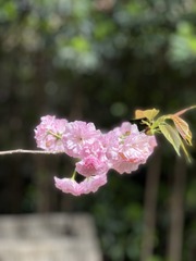 3B0C1176-FAE4-40F7-B059-FEA0EE0C9928/L0/001