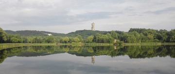 1406646