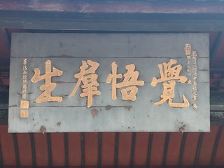 1000041774