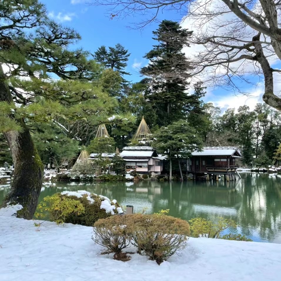 日本金泽兼六园的雪景庭院的静谧之美