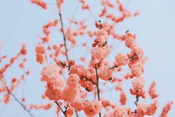 158F4D8F-EA7B-46DA-8B72-BBA89A1A9281/L0/001