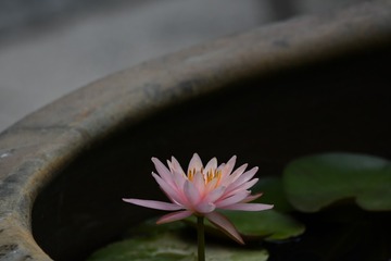 150081