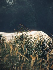 0B3500F3-2C01-41B9-8F45-70DFF940B685/L0/001