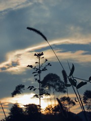 B0BA2DA4-5F65-40CE-B4FE-02BF3F20863A/L0/001
