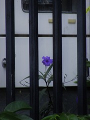 9F094187-00D4-486D-B5F0-26C31FFCCA1B/L0/001