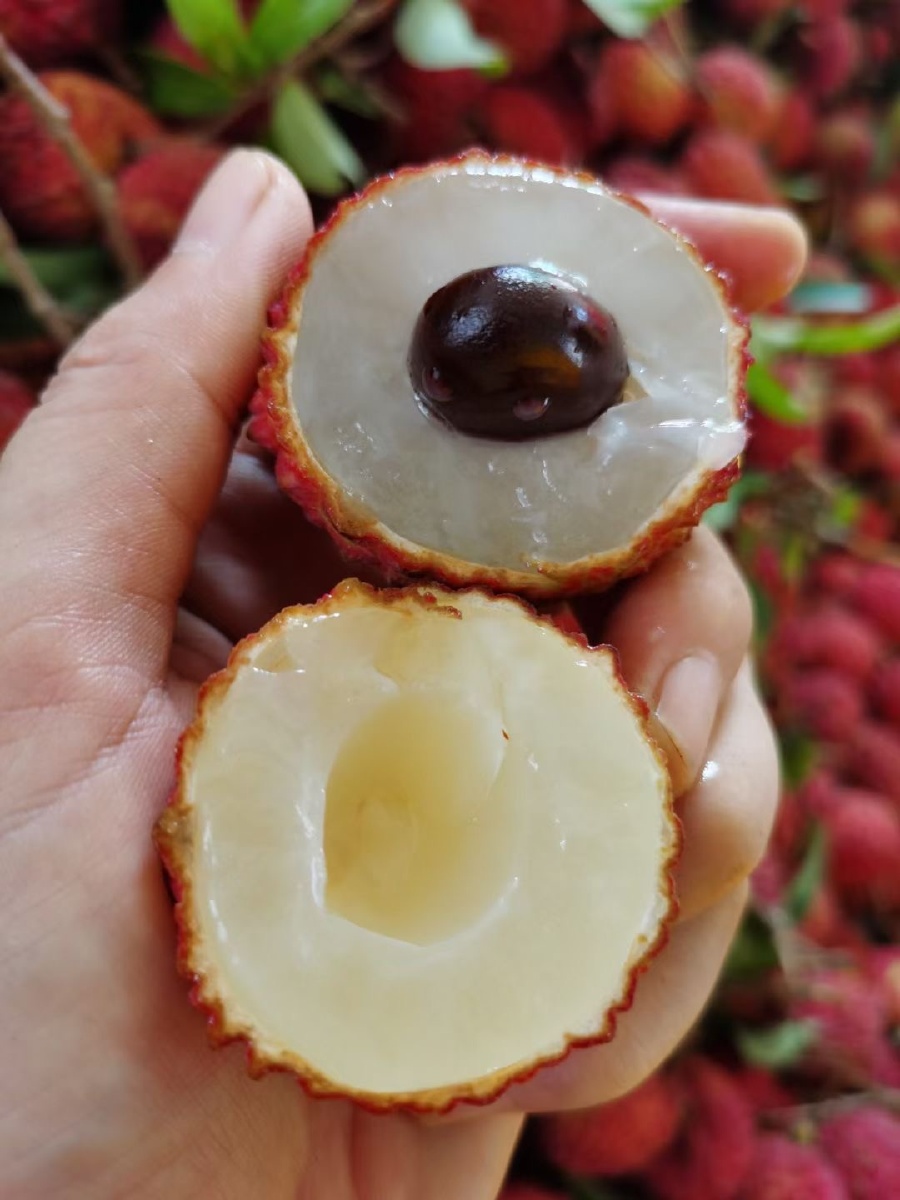 荔枝王美得很像画生长在海南火山地带的它是荔枝中唯一敢称王的王的