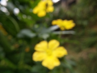 2702530