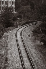 164444