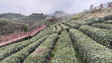 1000163464